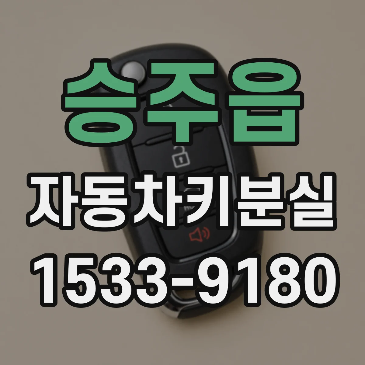 승주읍 자동차키분실