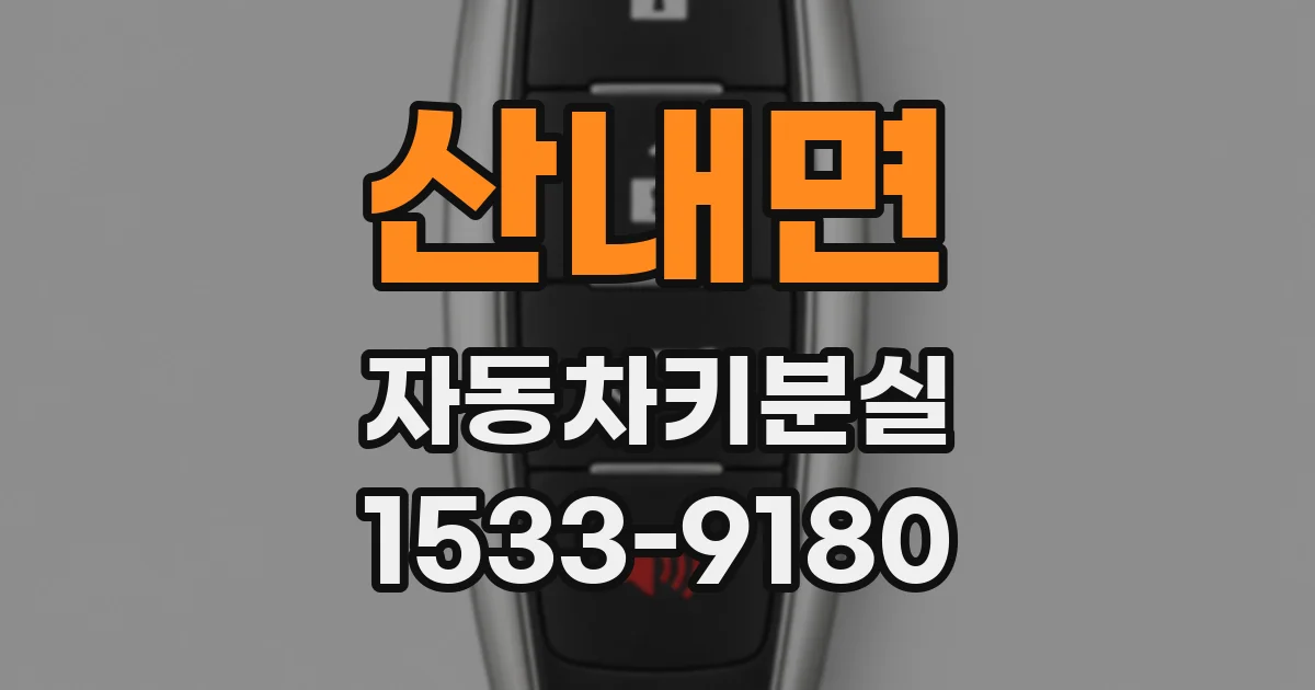 산내면 자동차키분실