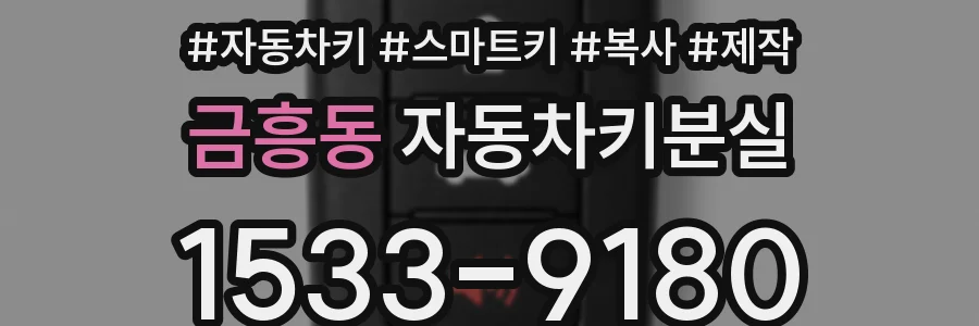 금흥동 자동차키분실