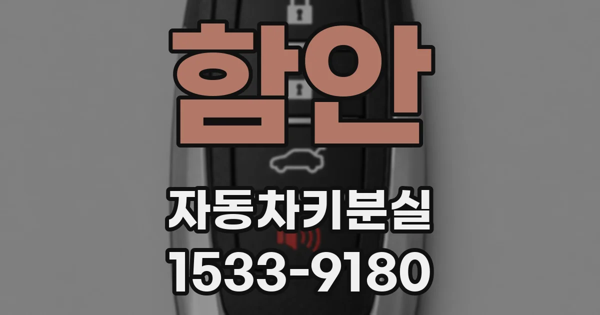 함안 자동차키분실