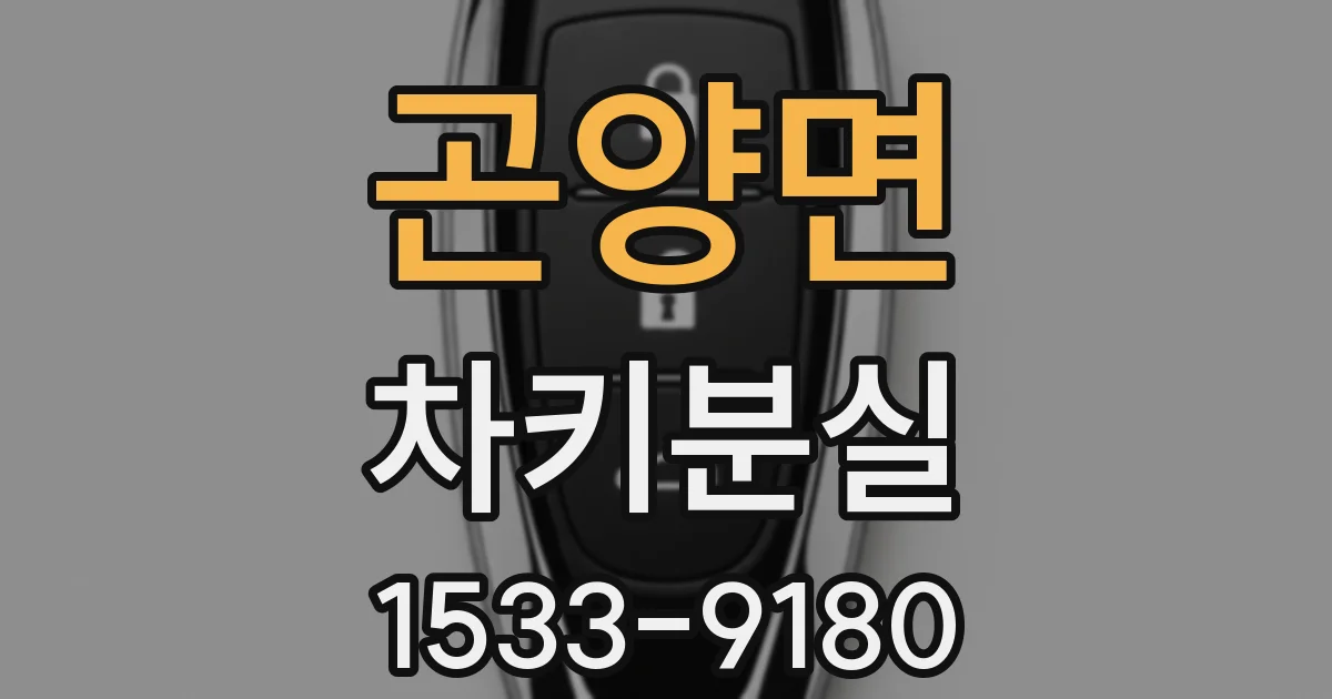 곤양면 차키분실