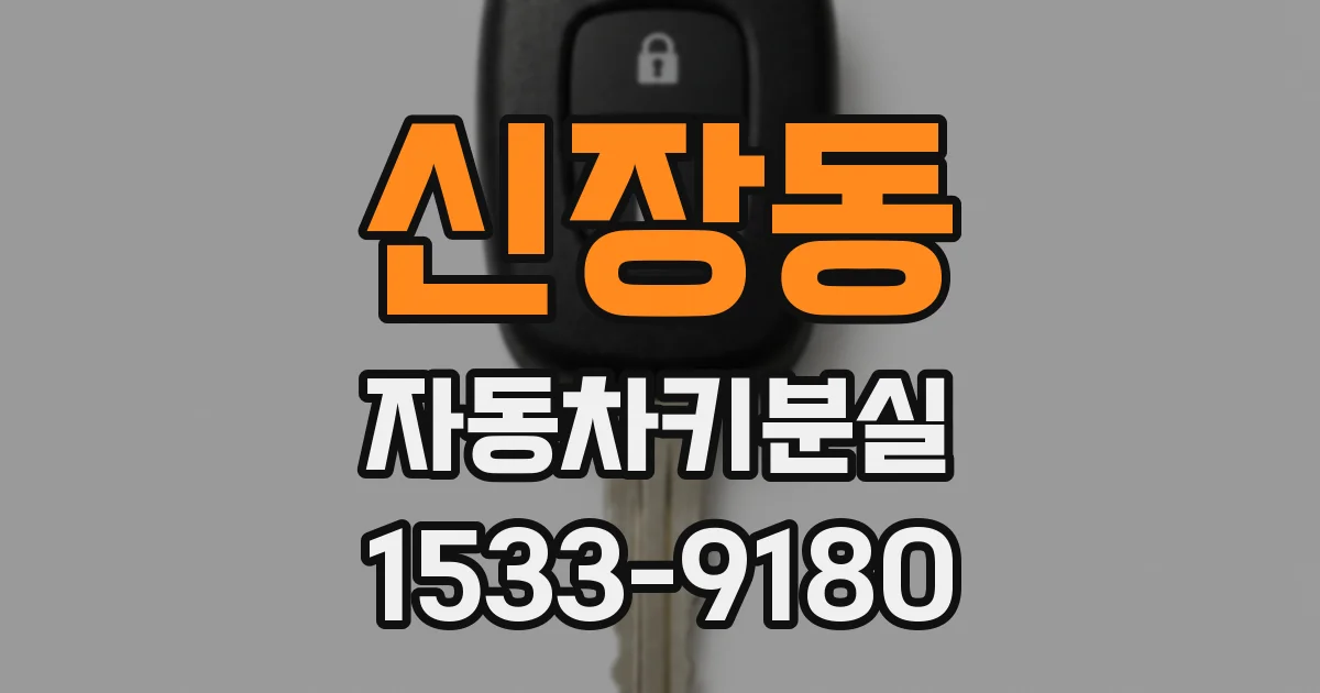 신장동 자동차키분실
