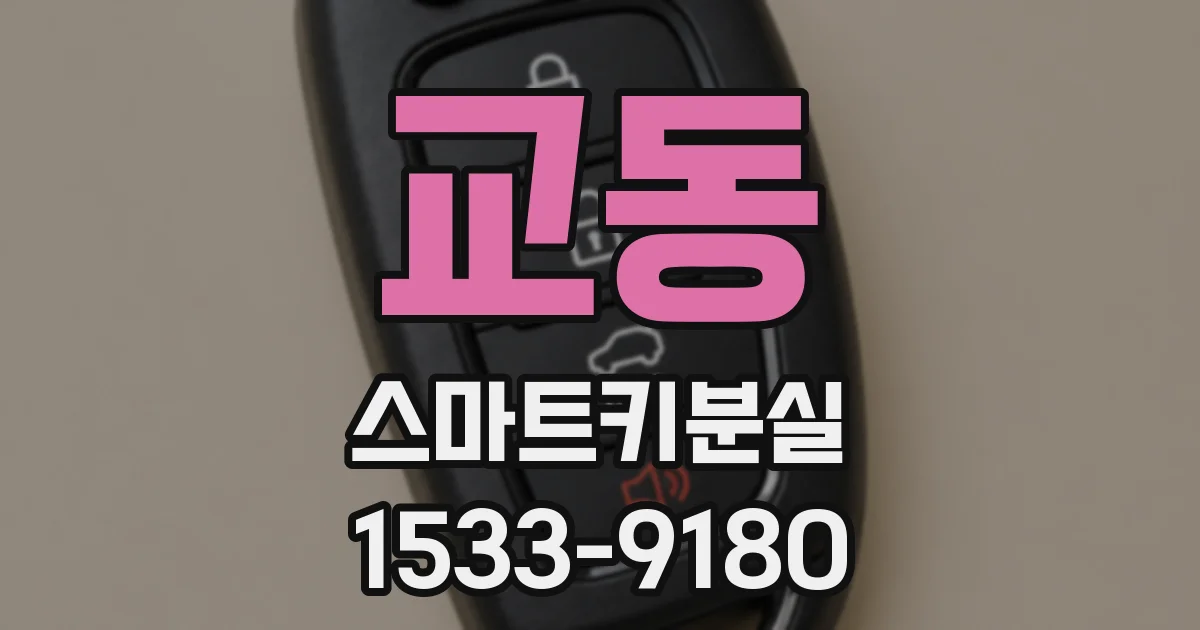 교동 스마트키분실