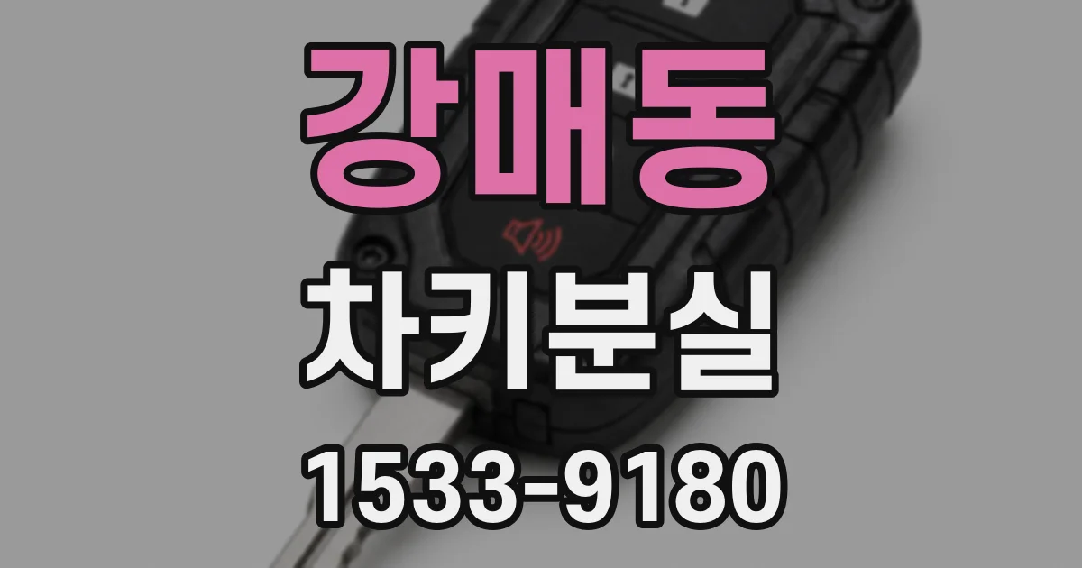 강매동 차키분실