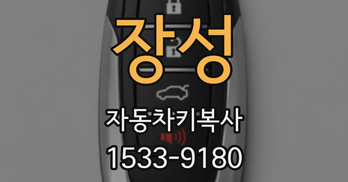 장성 자동차키복사