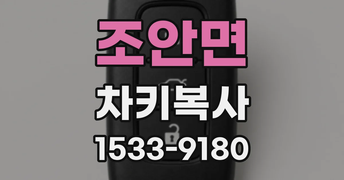 조안면 차키복사
