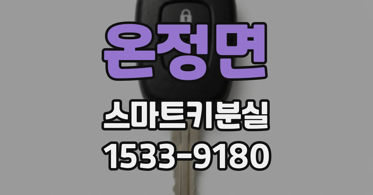 온정면 스마트키분실