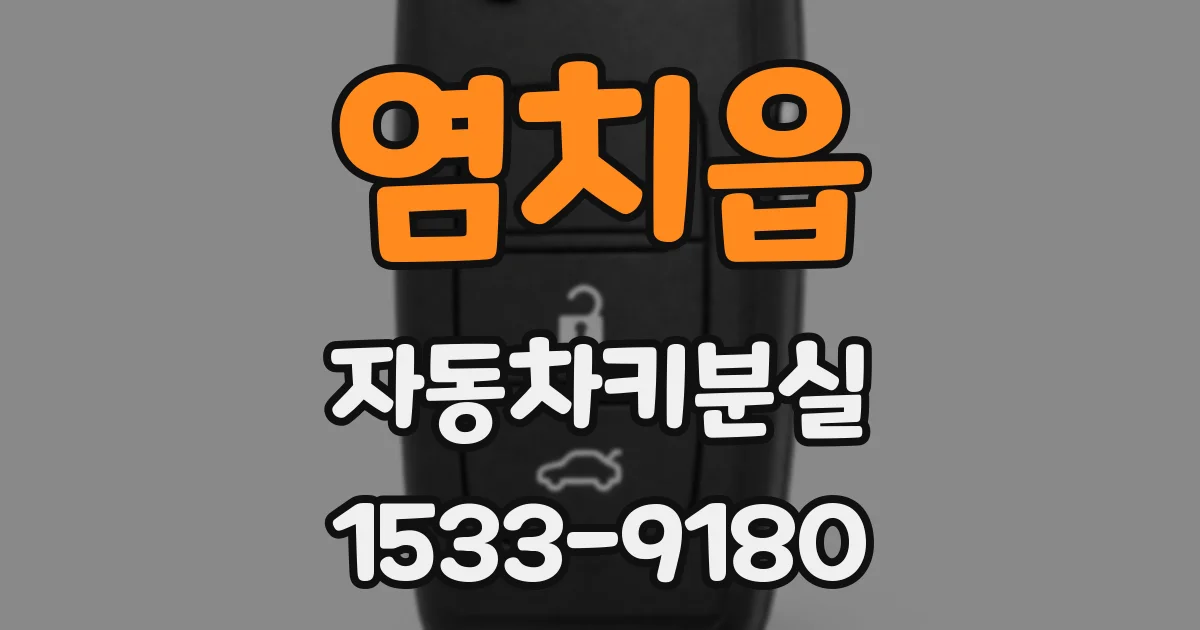 염치읍 자동차키분실