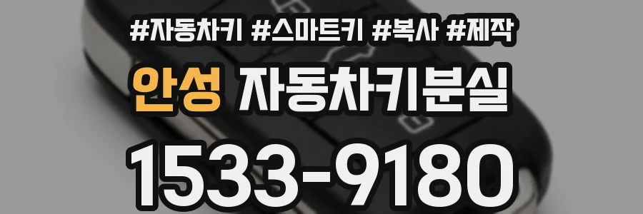 안성 자동차키분실