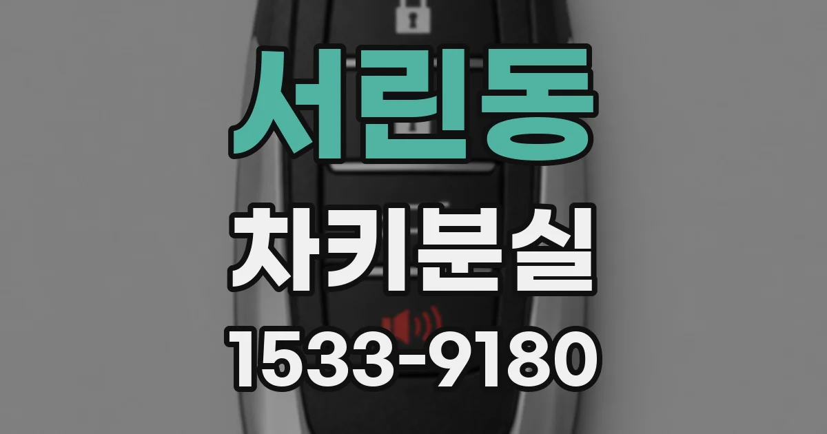 서린동 차키분실