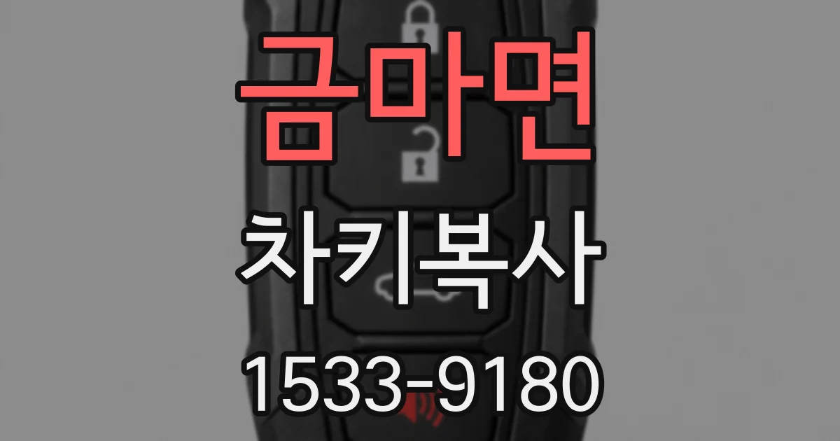 금마면 차키복사