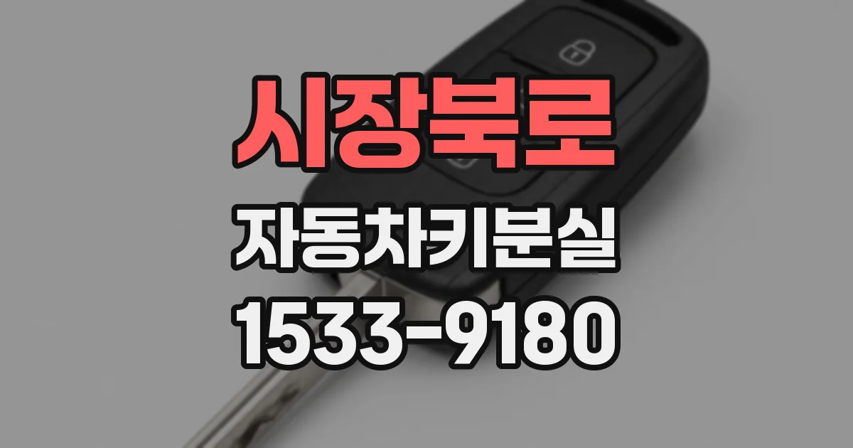 시장북로 자동차키분실