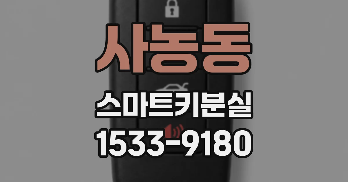 사농동 스마트키분실