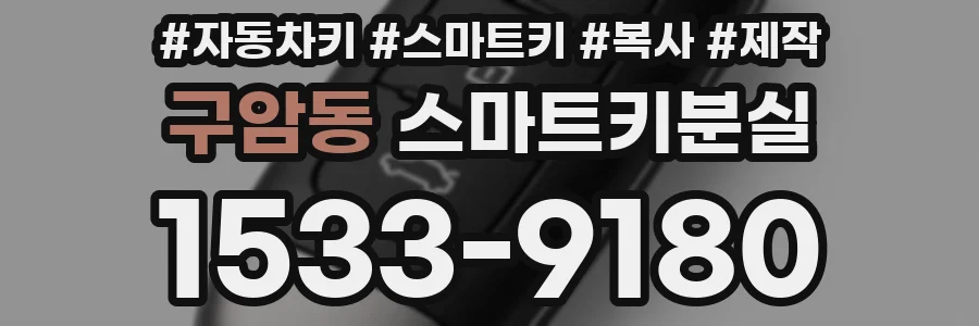 구암동 스마트키분실