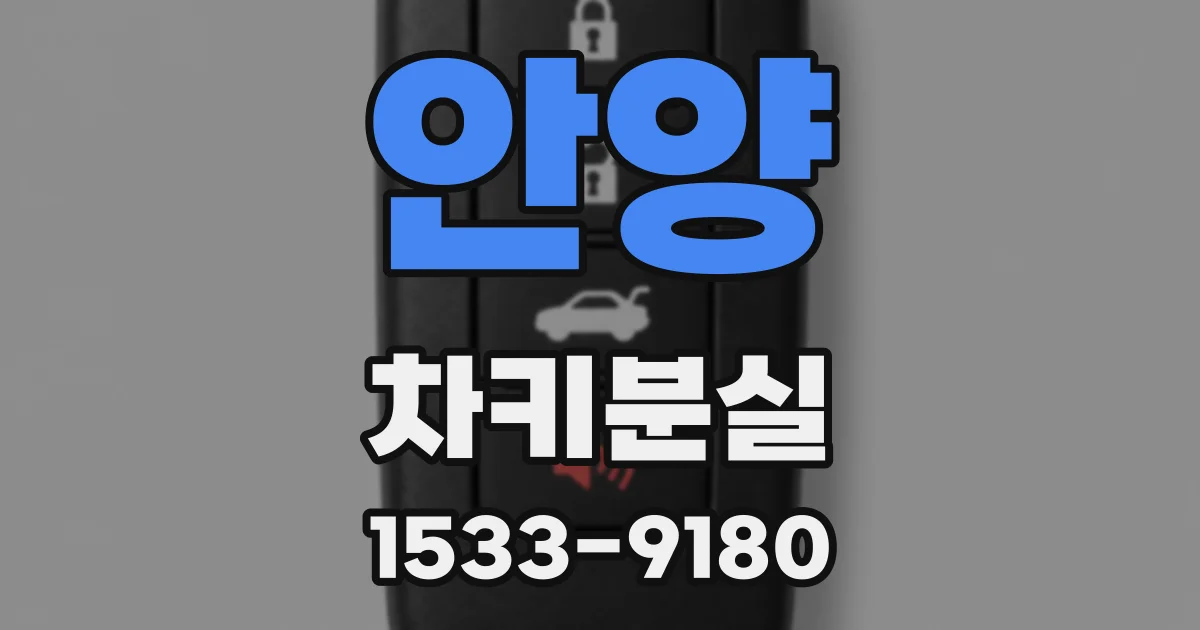 안양 차키분실
