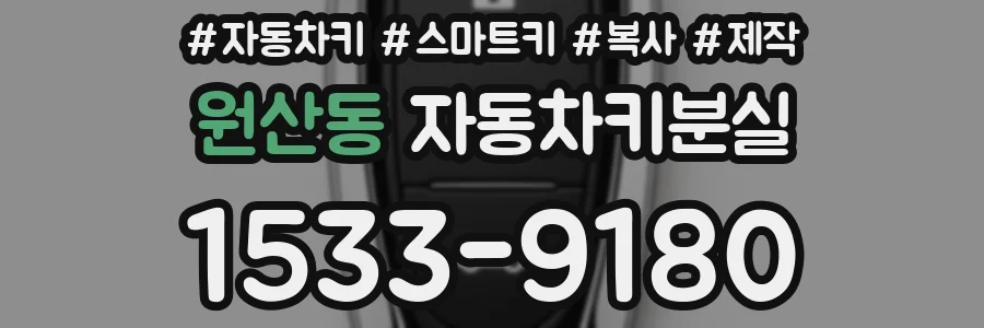 원산동 자동차키분실