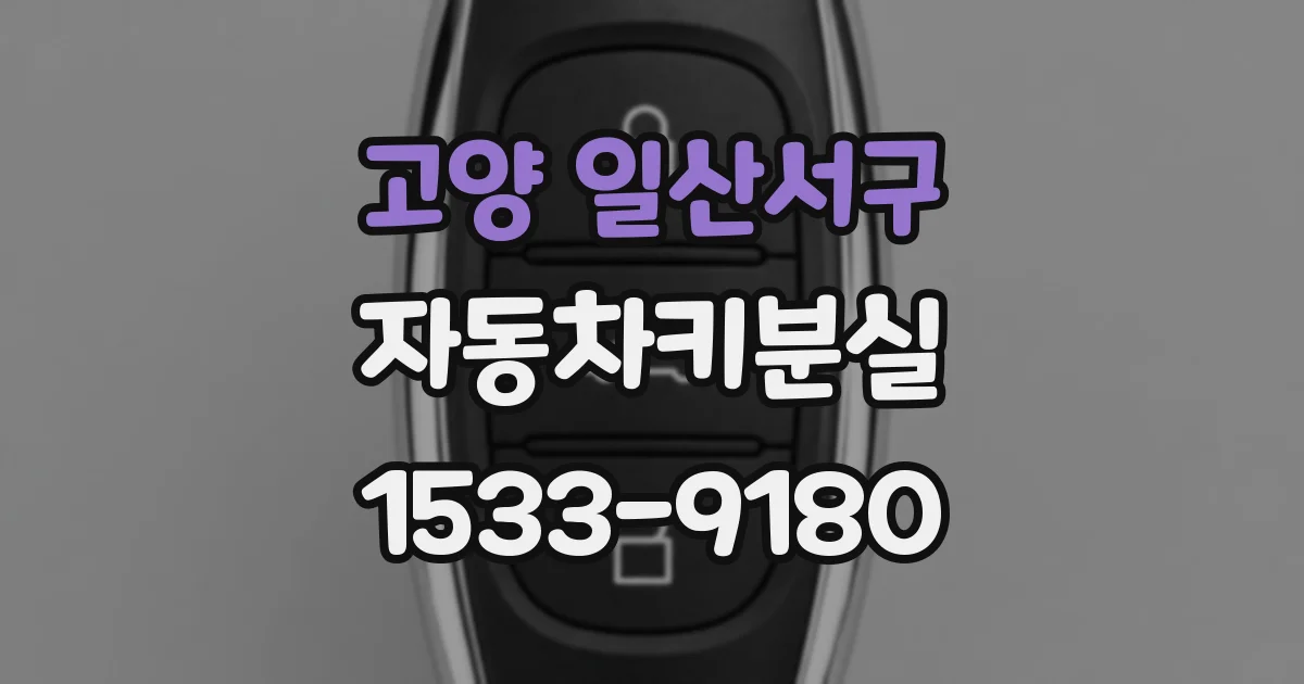 고양 일산서구 자동차키분실