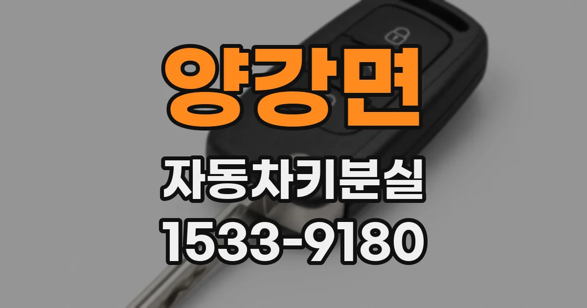 양강면 자동차키분실