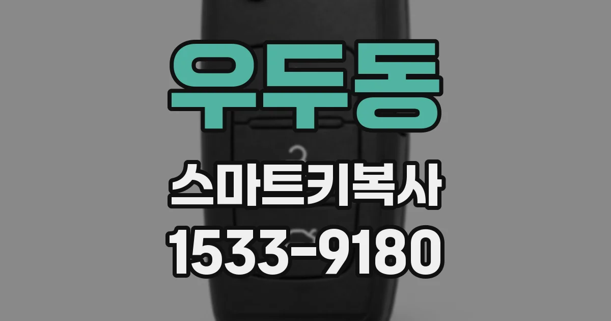 우두동 스마트키복사