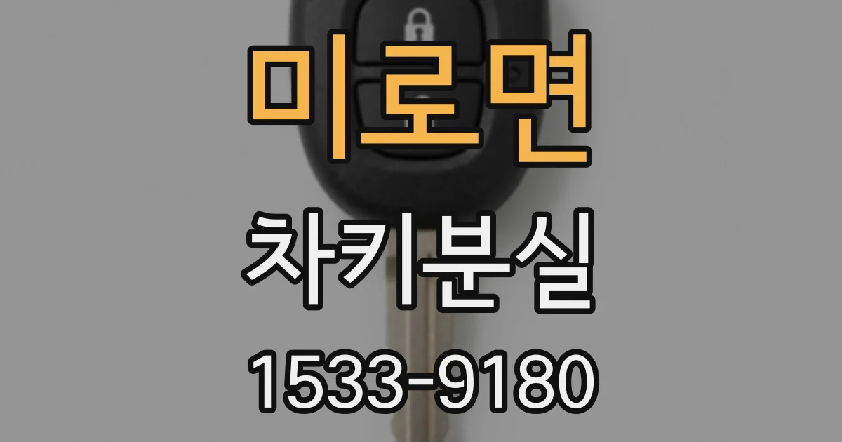 미로면 차키분실