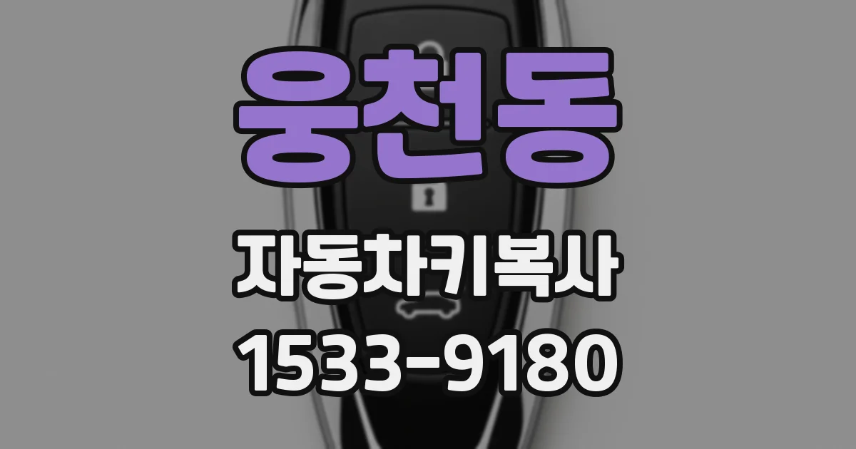웅천동 자동차키복사