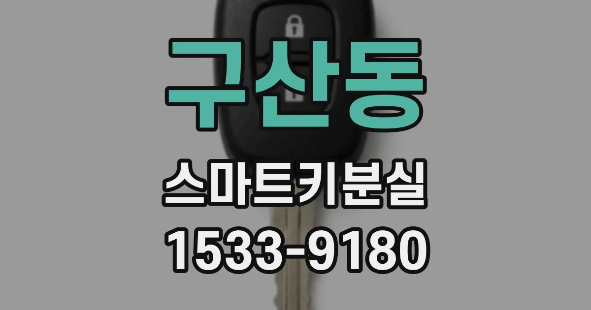 구산동 스마트키분실