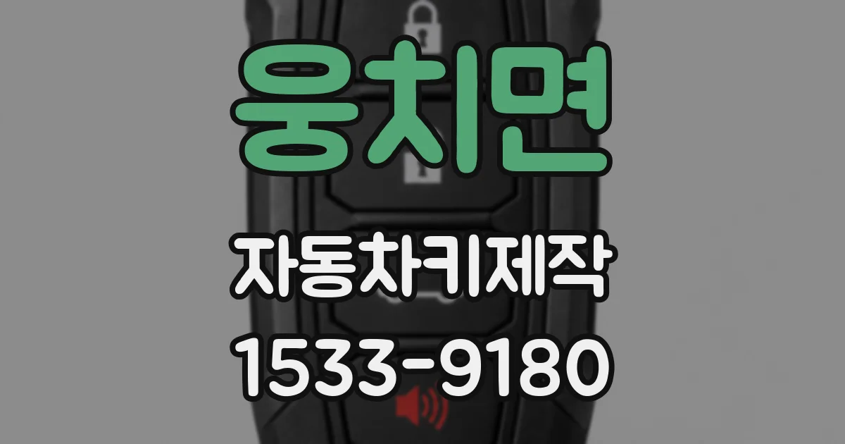 웅치면 자동차키제작