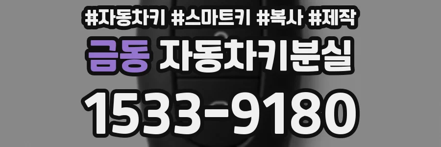금동 자동차키분실