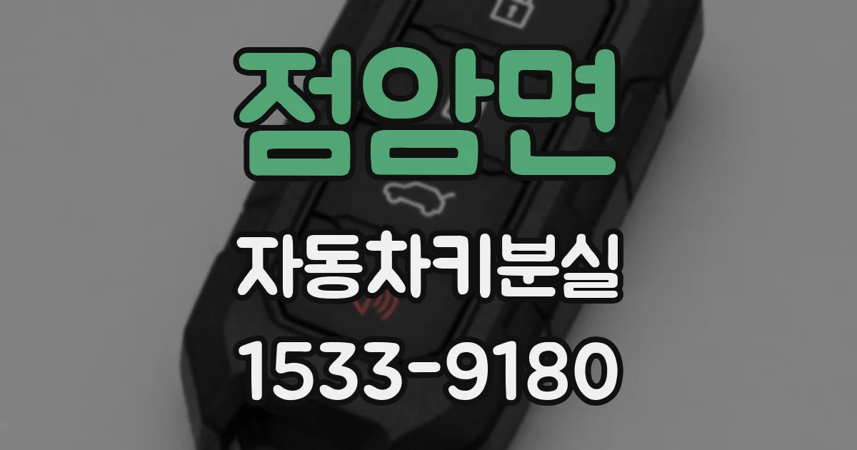 점암면 자동차키분실