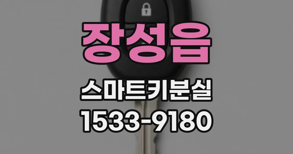 장성읍 스마트키분실