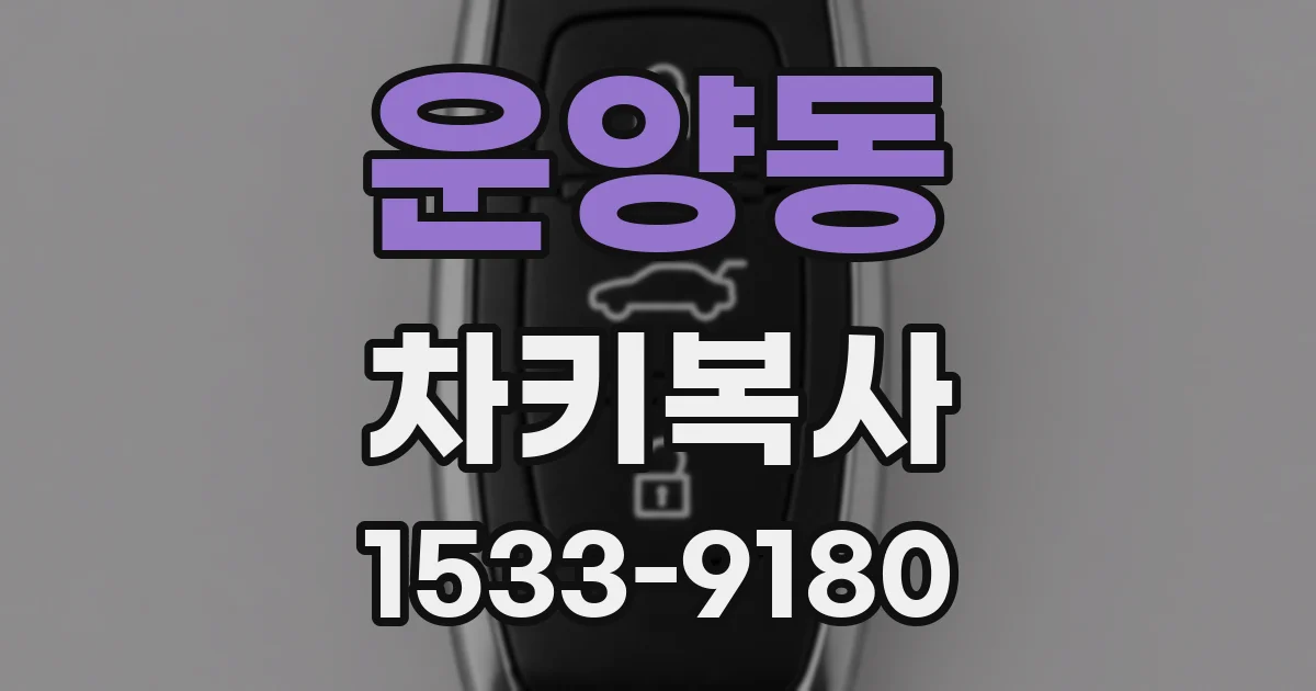 운양동 차키복사