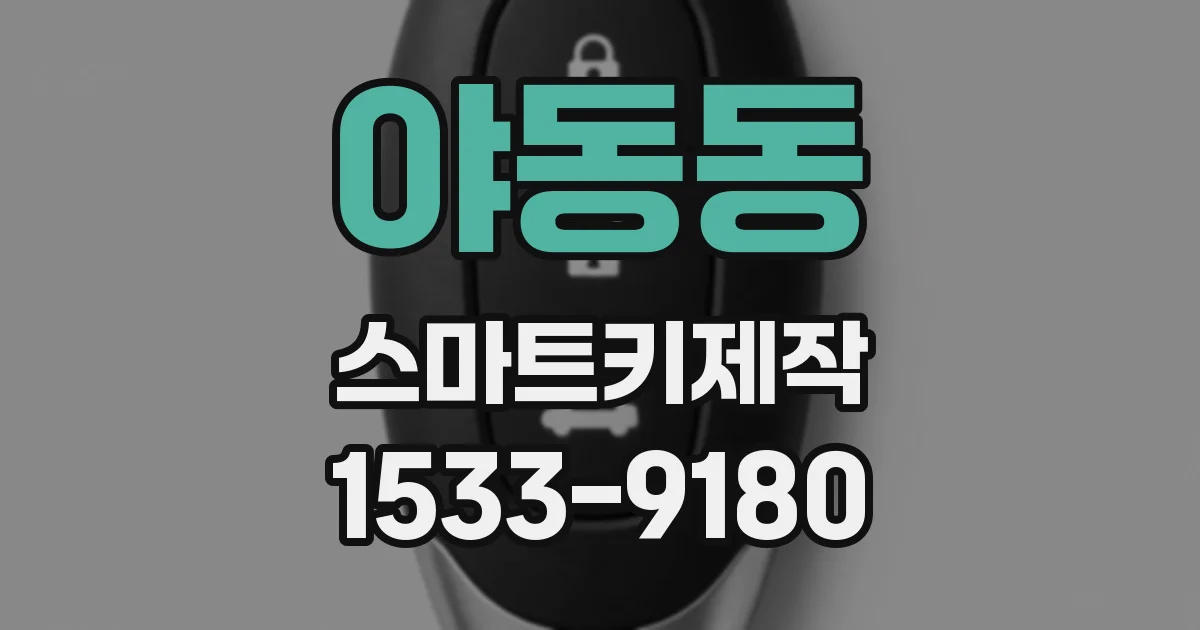 야동동 스마트키제작