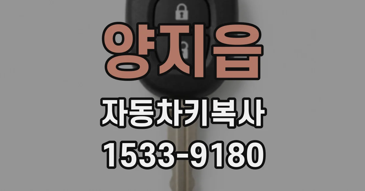 양지읍 자동차키복사