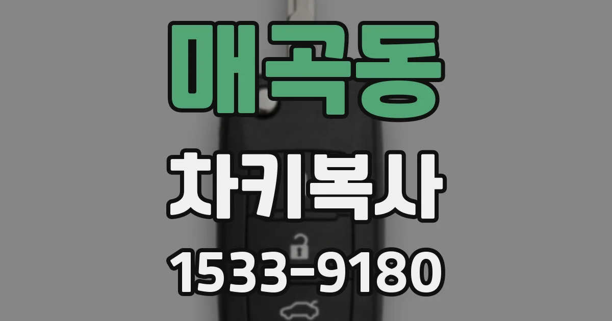매곡동 차키복사