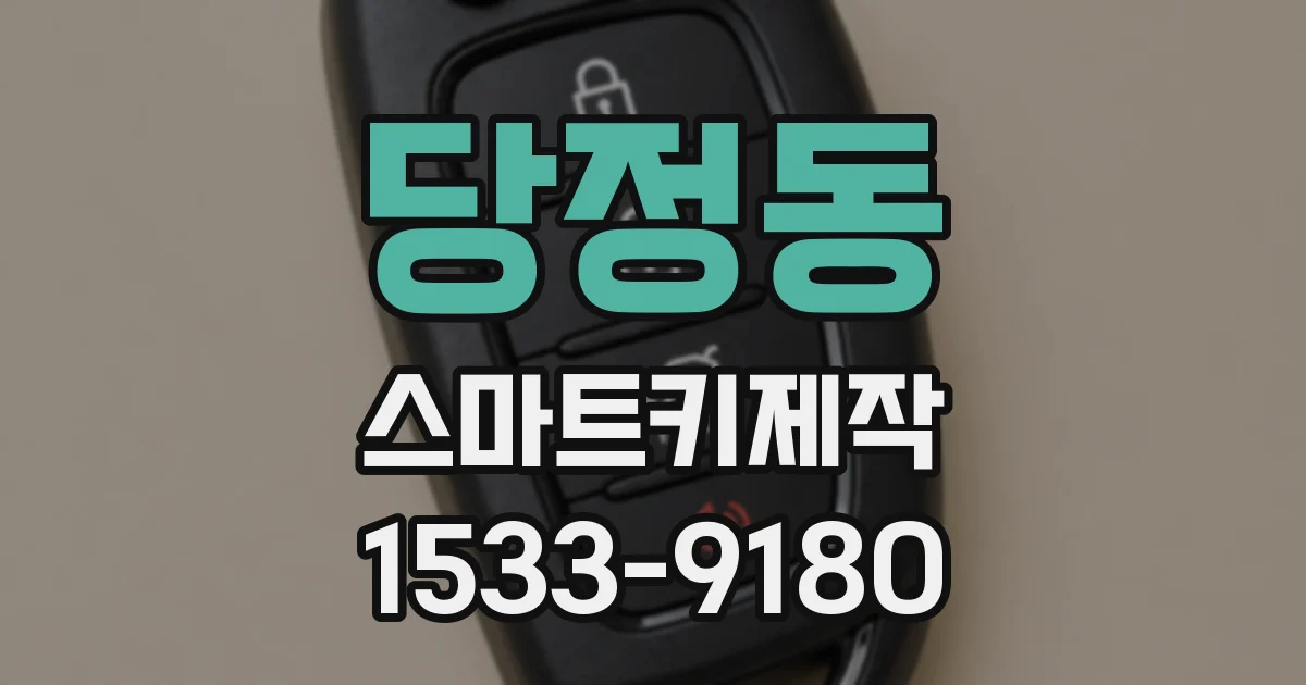 당정동 스마트키제작