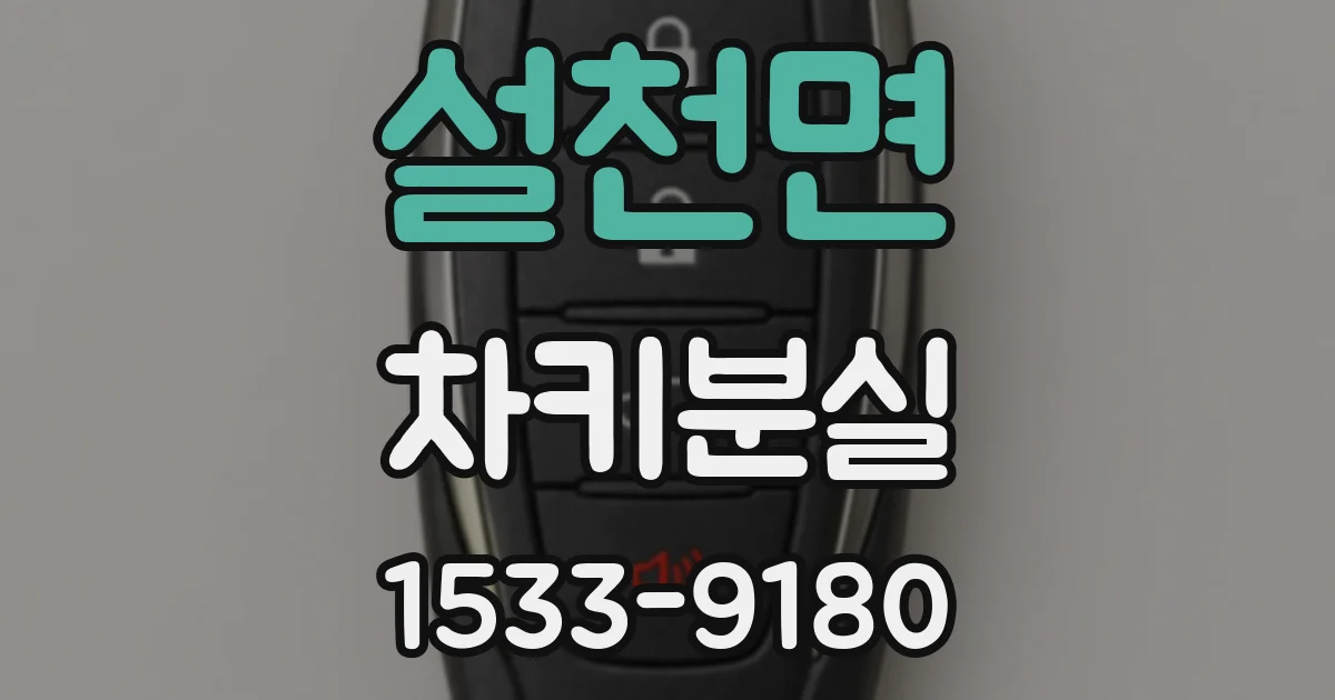 설천면 차키분실