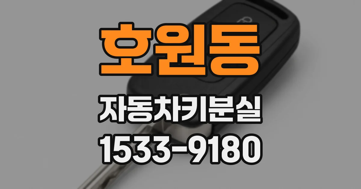 호원동 자동차키분실
