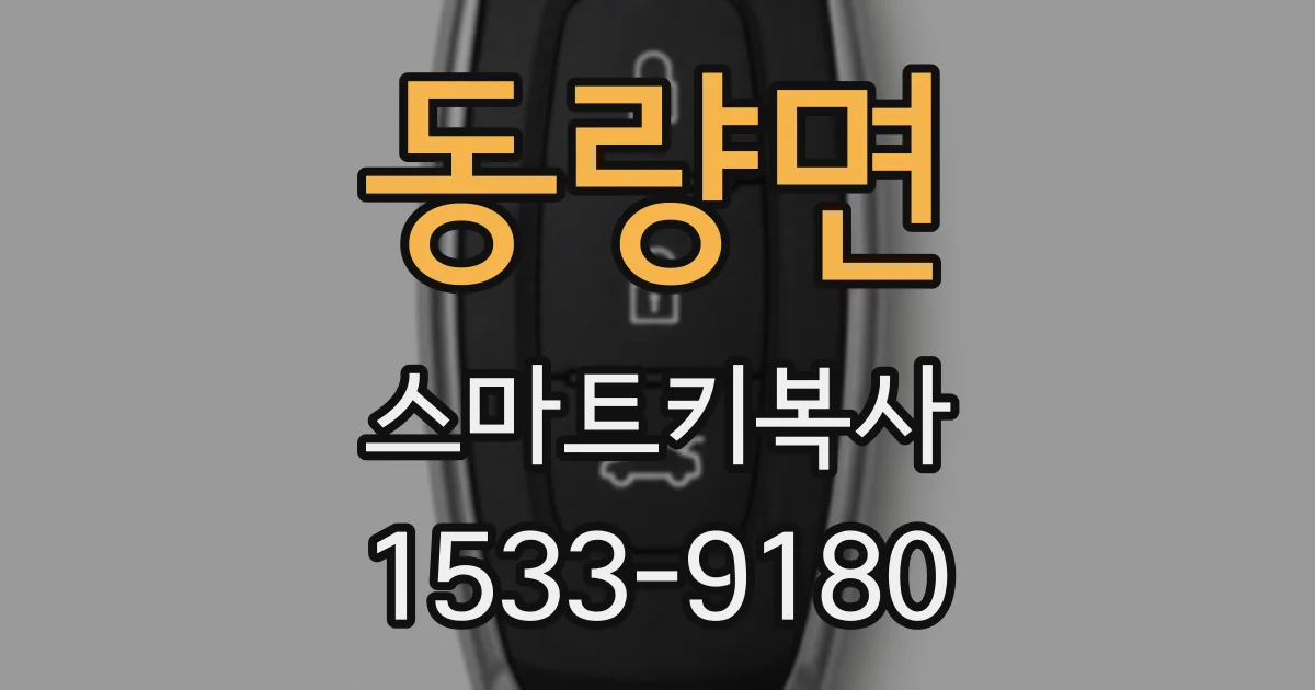 동량면 스마트키복사