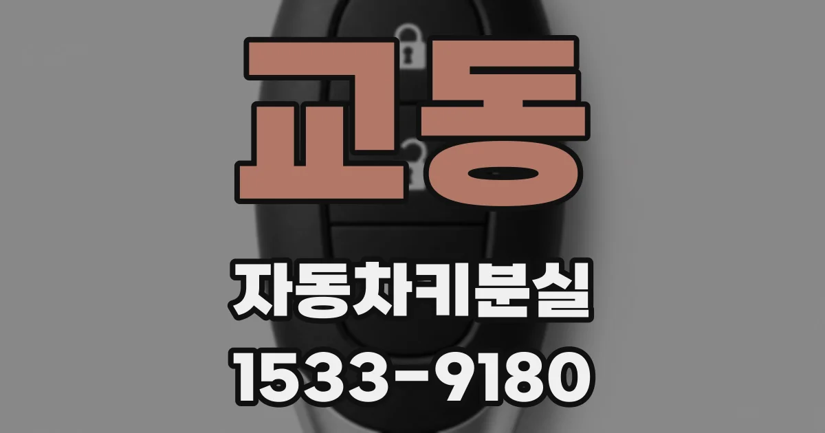 교동 자동차키분실