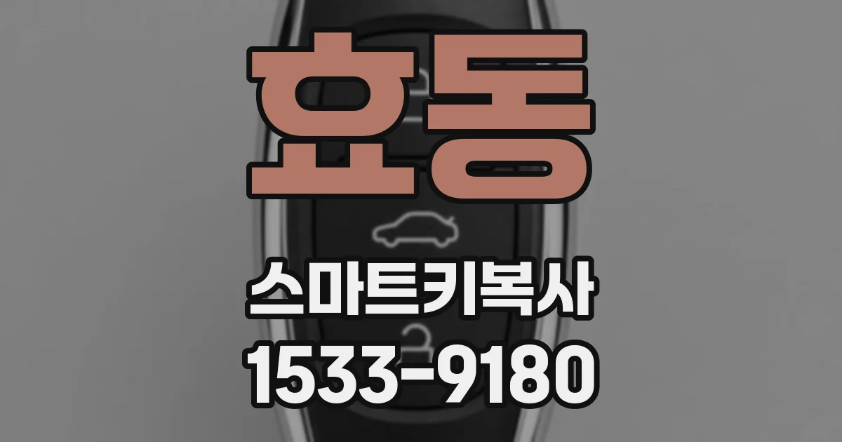 효동 스마트키복사