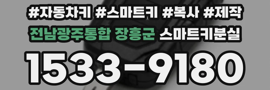 전남광주통합 장흥군 스마트키분실