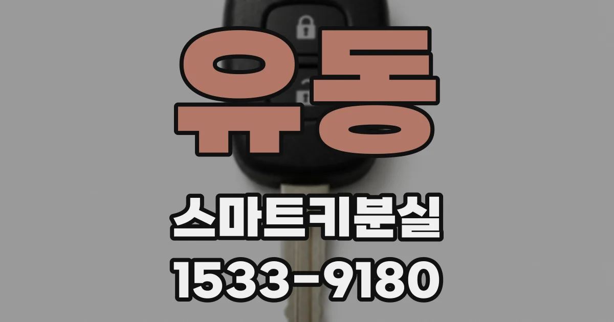 유동 스마트키분실