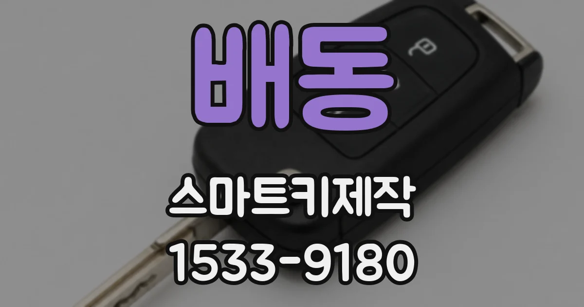 배동 스마트키제작
