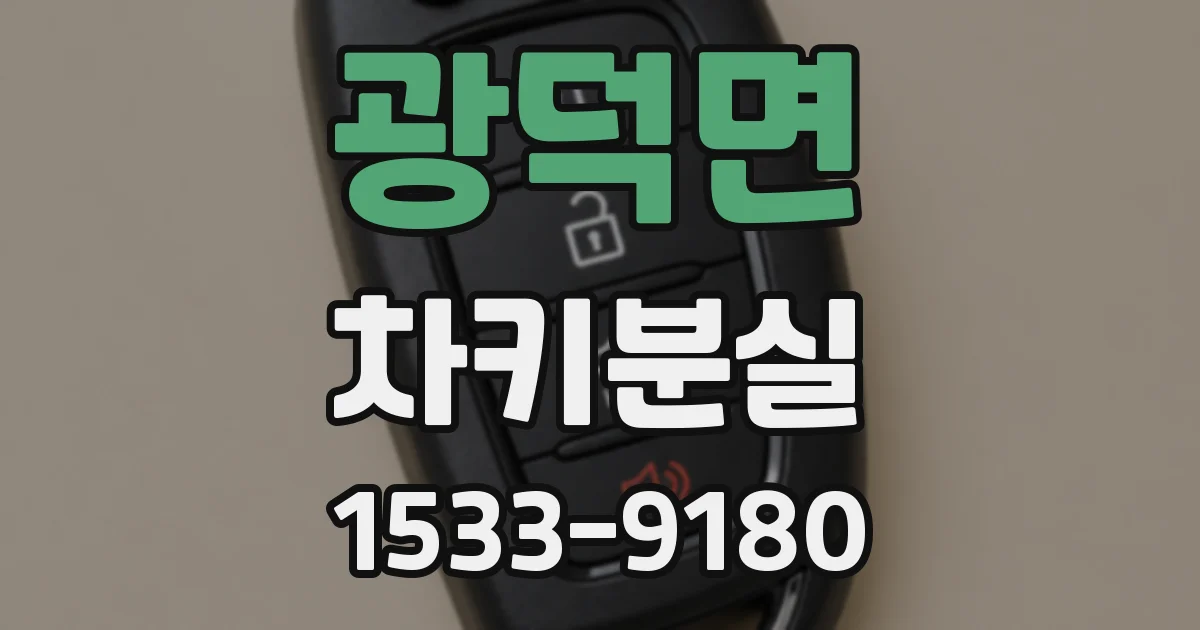 광덕면 차키분실