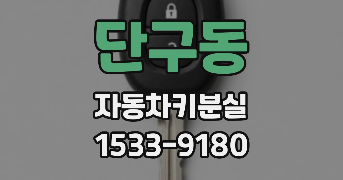 단구동 자동차키분실
