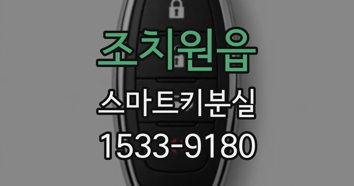 조치원읍 스마트키분실