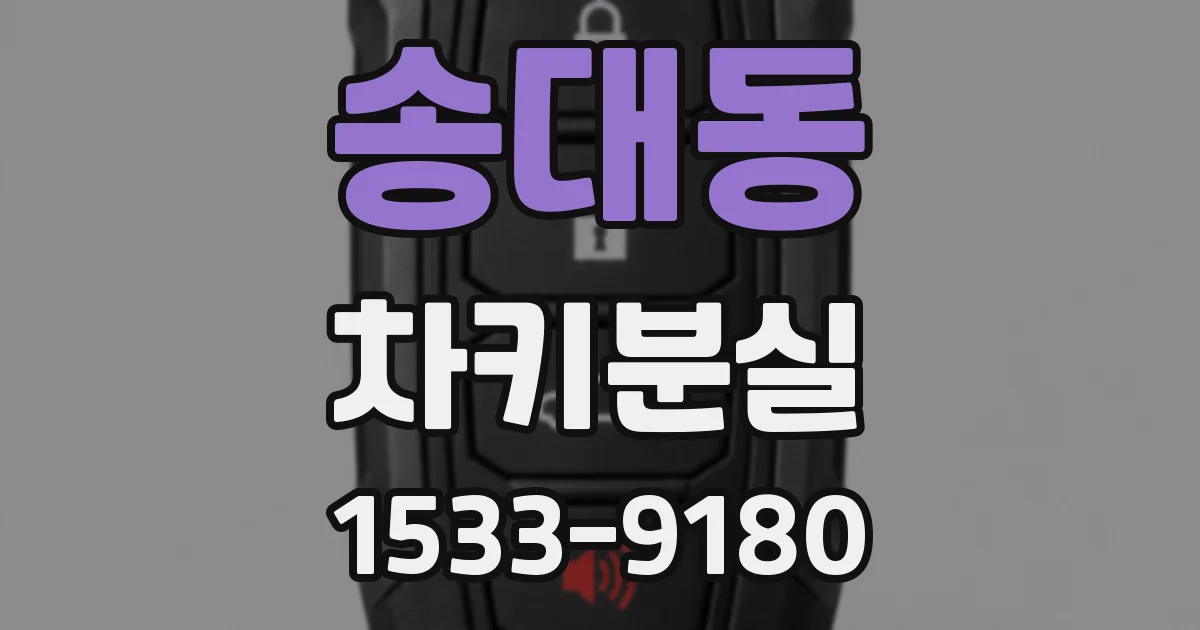 송대동 차키분실
