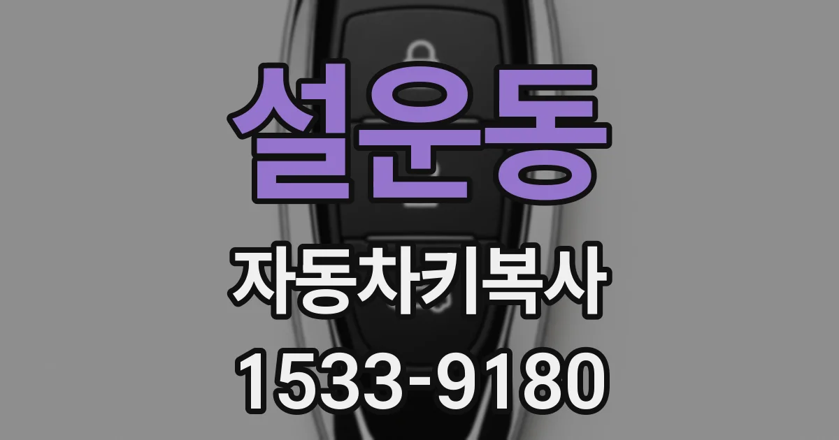 설운동 자동차키복사