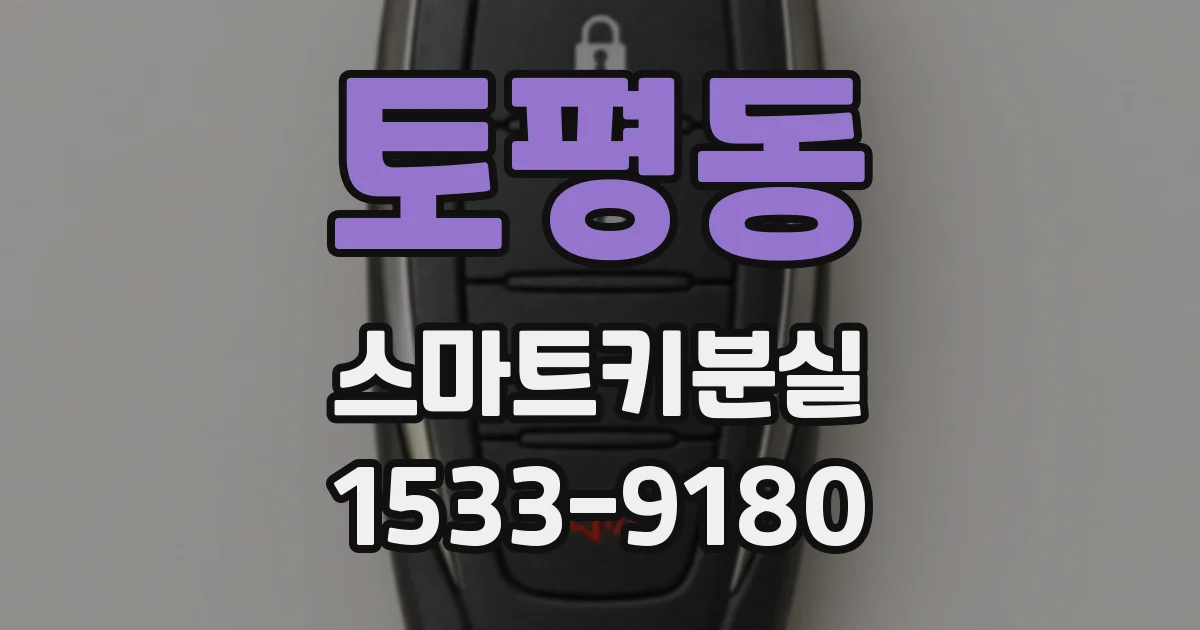 토평동 스마트키분실