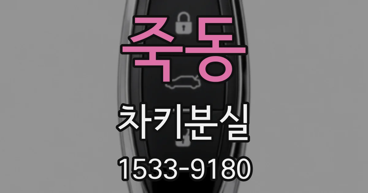 죽동 차키분실